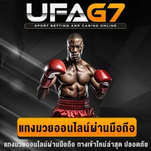 ทางเข้า แทงมวย มือถือ