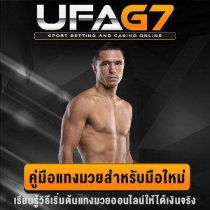 มือใหม่หัดแทงมวย