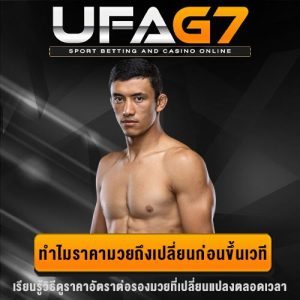 วิเคราะห์ราคามวย