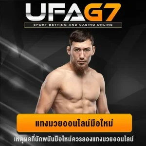 แทงมวยออนไลน์มือใหม่